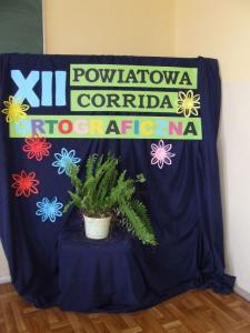 corrida2014_06.jpg