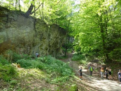 Bieszczady_2017_162.jpg