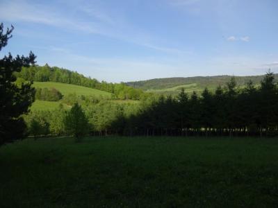 Bieszczady_2017_69.jpg