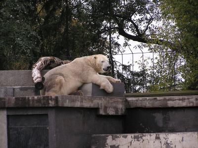 Warszawa_2016_02.jpg