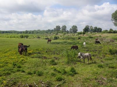 Mazury_2018_119.jpg